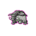 Exotic Donphan